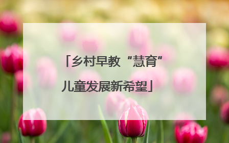 乡村早教“慧育”儿童发展新希望